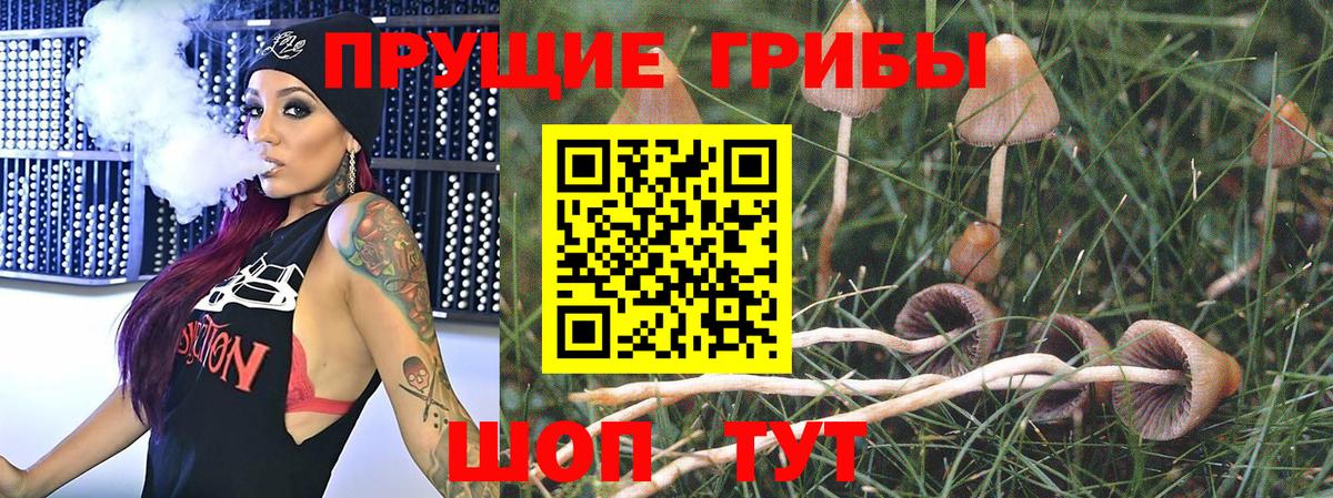 Галлюциногенные грибы MAGIC MUSHROOMS  Галлюциногенные грибы MAGIC MUSHROOMS  Вход с VPN  Воскресенск 